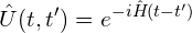 \[\hat{U}(t,t')=e^{-i\hat{H}(t-t')}\]